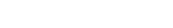 IT Partner